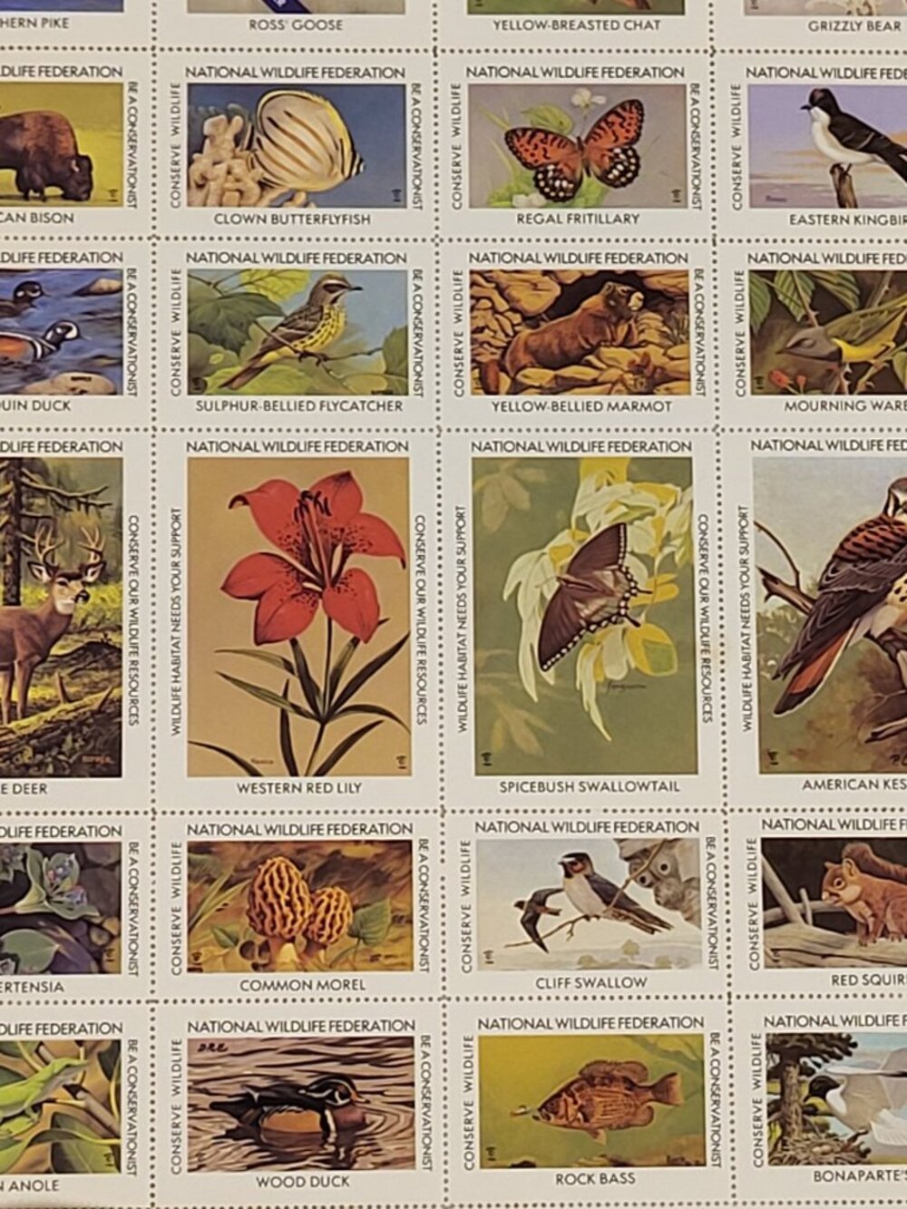 Vtg Stamps 36p America 1984 Wildlife by R Peterson Collector Album Philately USA - Picture 5 of 8
